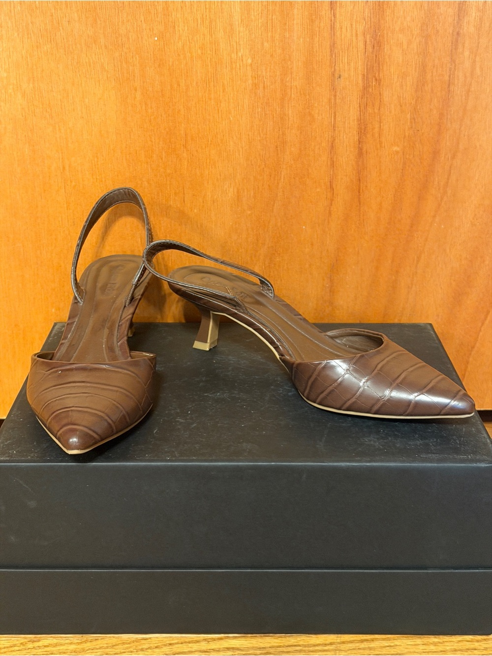 Open Edit Cammie Chocolate Brown Croc Kitten Heel Slingback Pump, Sz 5